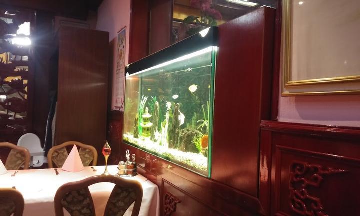 China Restaurant Wong-Kei